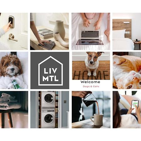 Liv Mtl Urban Aparthotel Μόντρεαλ Εξωτερικό φωτογραφία