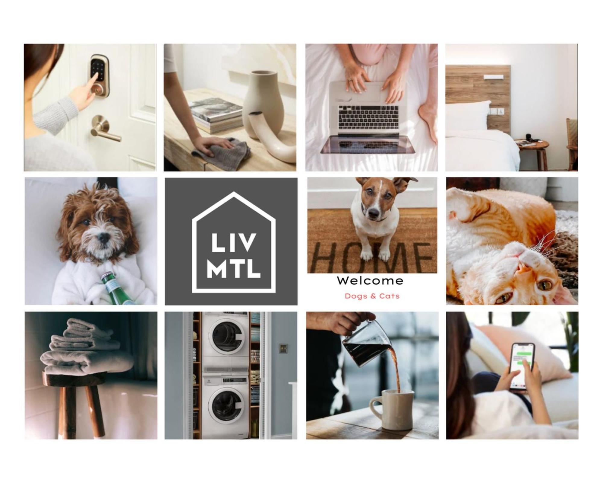 Liv Mtl Urban Aparthotel Μόντρεαλ Εξωτερικό φωτογραφία